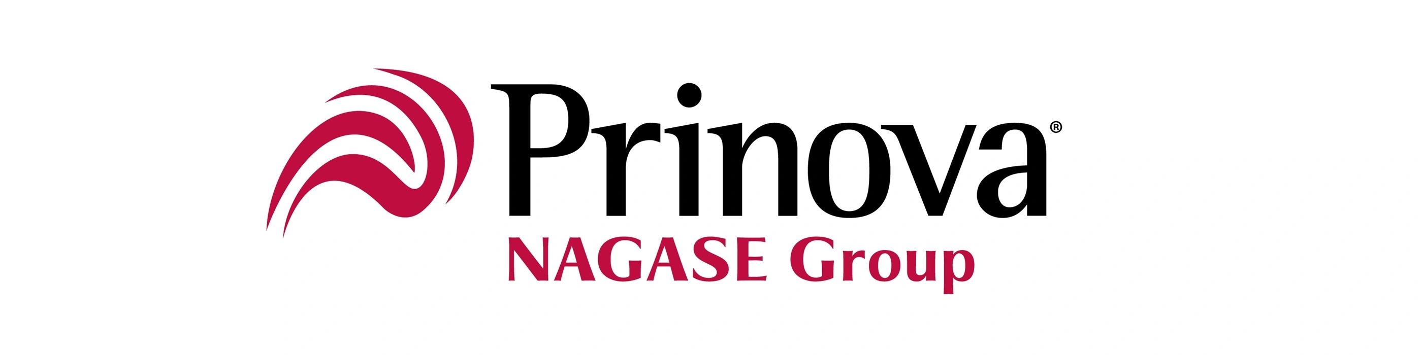 Nagase Viita logo