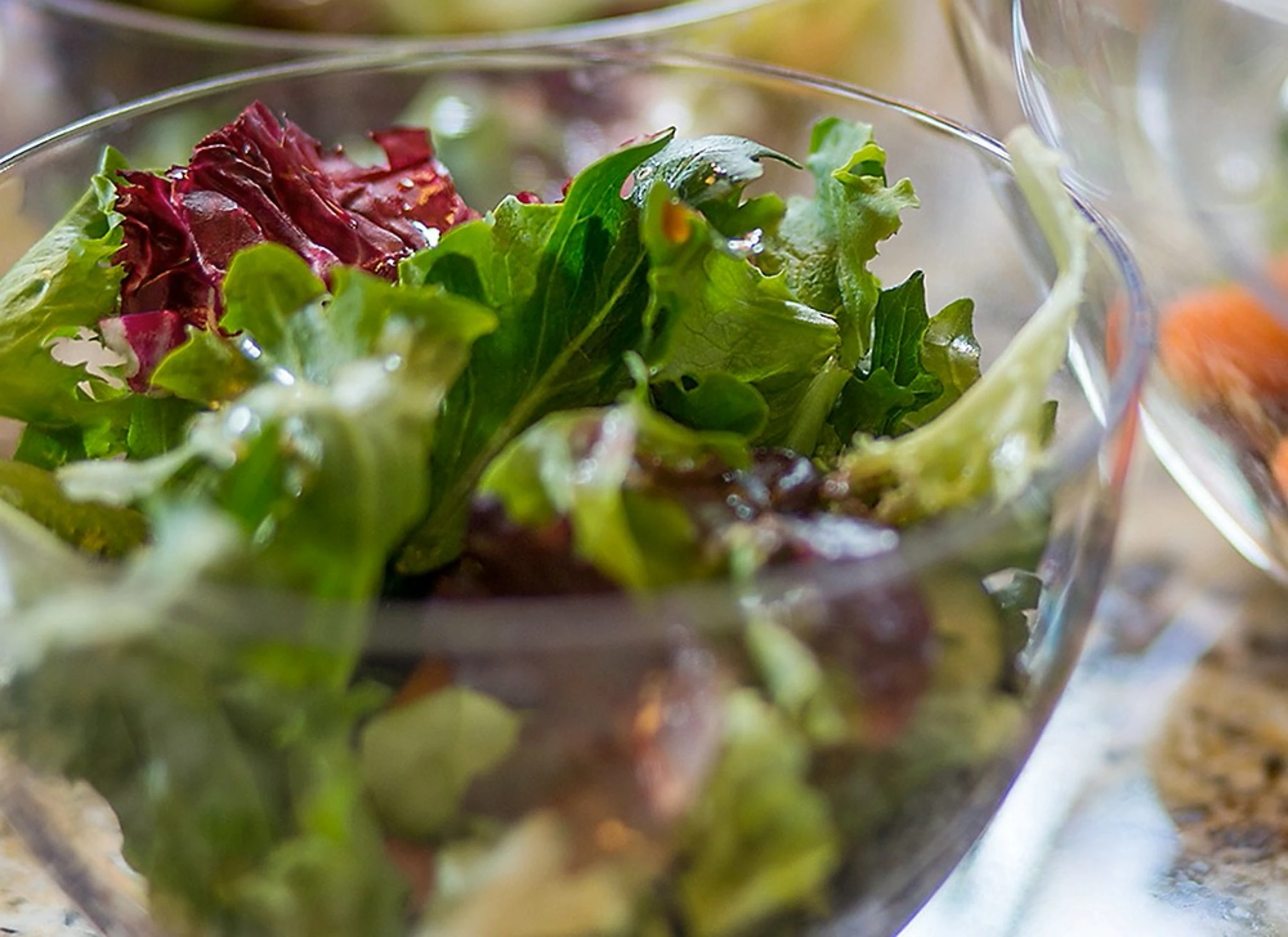 salad in clear tritan bowl