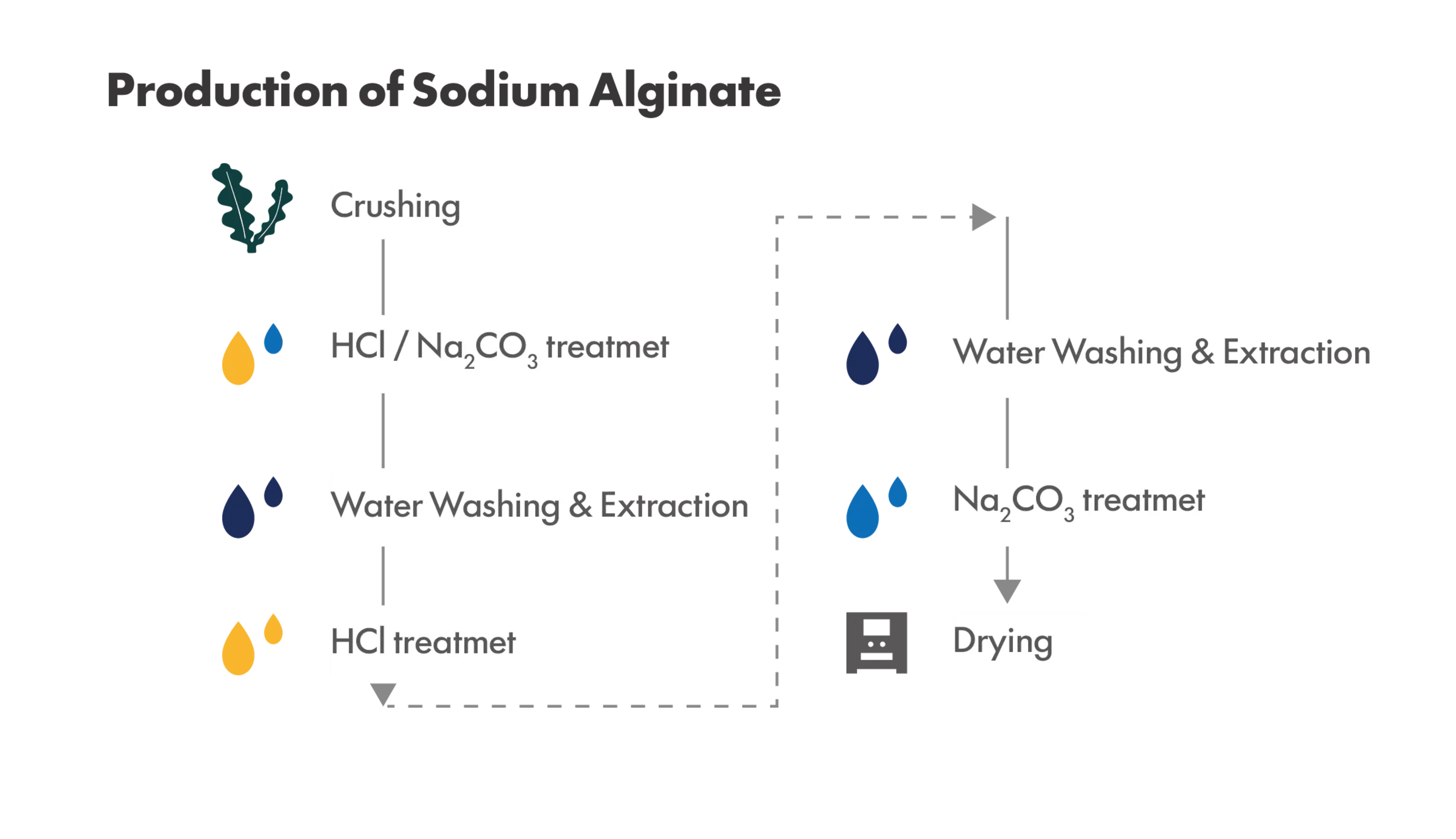 Sodium Alginate_03